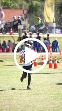 BIB:  <button type="button" onclick="openModal(26591216)" class="btn btn-primary btn-sm float-right" data-toggle="modal" data-target=".modal-high-quality">
                <i class="fa fa-download"></i> Download
                </button>